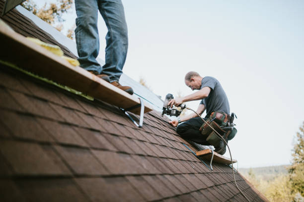 Quick and Trustworthy Emergency Roof Repair Services in South Sioux City, NE